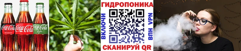 Cannafood конопля  Ачхой-Мартан 