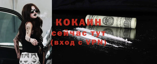 сатива Кострома